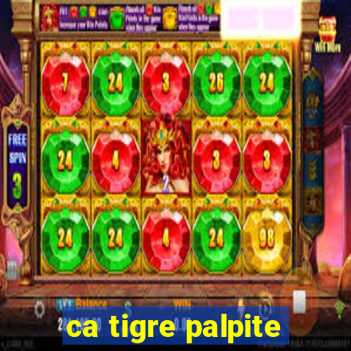 ca tigre palpite